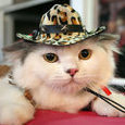 Thomas_Katze