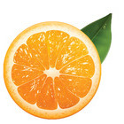 Mr. Orange
