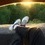VitaIiy_Sibirskiy