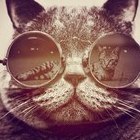 Yaroslav_Groove