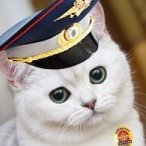 Pablo_Kokоrin