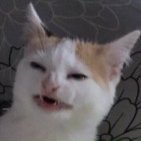 komukk