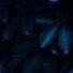 Diana_Evil