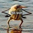 4E4HOK