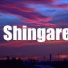 Raisa_Shingarenko