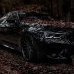 Maksim_Birov