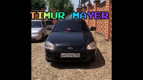Timur_Mayer