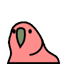 Solidov_ Boy