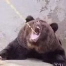это кто ваще