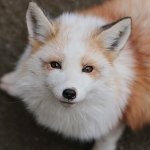Miyuki_Matthews
