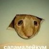 Artemiy_Gorskiy