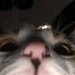 Ivan_Reysonow