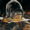 Sergey_Henderson