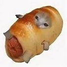 Reiten