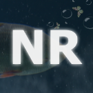 Nikson_Rogerson