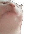 Max_Hawkins