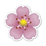 Aleksandr_Blossom