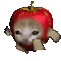 𝕊𝕊_ℝ𝕠𝕤𝕥𝕠𝕧𝕤𝕜𝕚𝕪