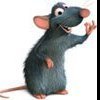 Gofman_Rommel