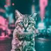 Felix_Morendi