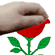 максим фловер