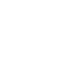 Leo Winston