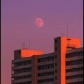 shashki777