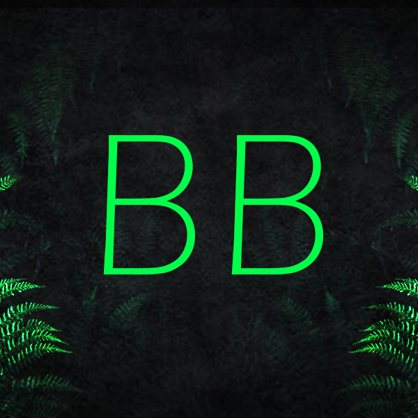 Bryan_Weinberg