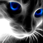 Matteo_Moore