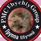 Denis_Mesnikov
