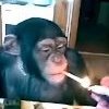 BabokNet
