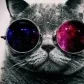 Shon_Dupov