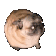 Toki_Habara