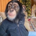 Ravshan_Lamadjo