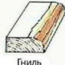 Odo_Kaltenbrunner
