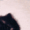 Armen_Olsen