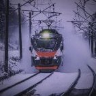 Vlad_Neal