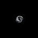 Noree_Moretti