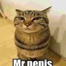 Mr.