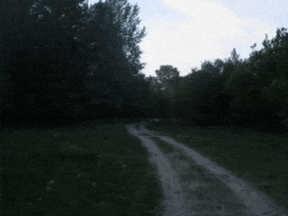 Joseph_Romanov