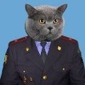 Ilya_Omarov