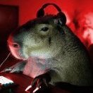 Cool_Capybara228