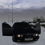 Sau_Eisenmann