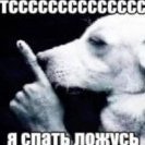 trekebetne
