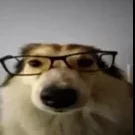 chombo