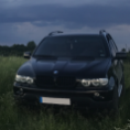 Nikolay11