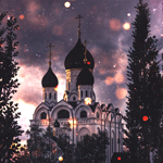 Vladislav Shibanov