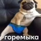 Sergey_Asikov