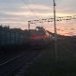 Aron_Domov