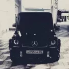 Adler_Vilson0